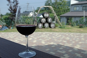 �R�Ӄ��C�i���[